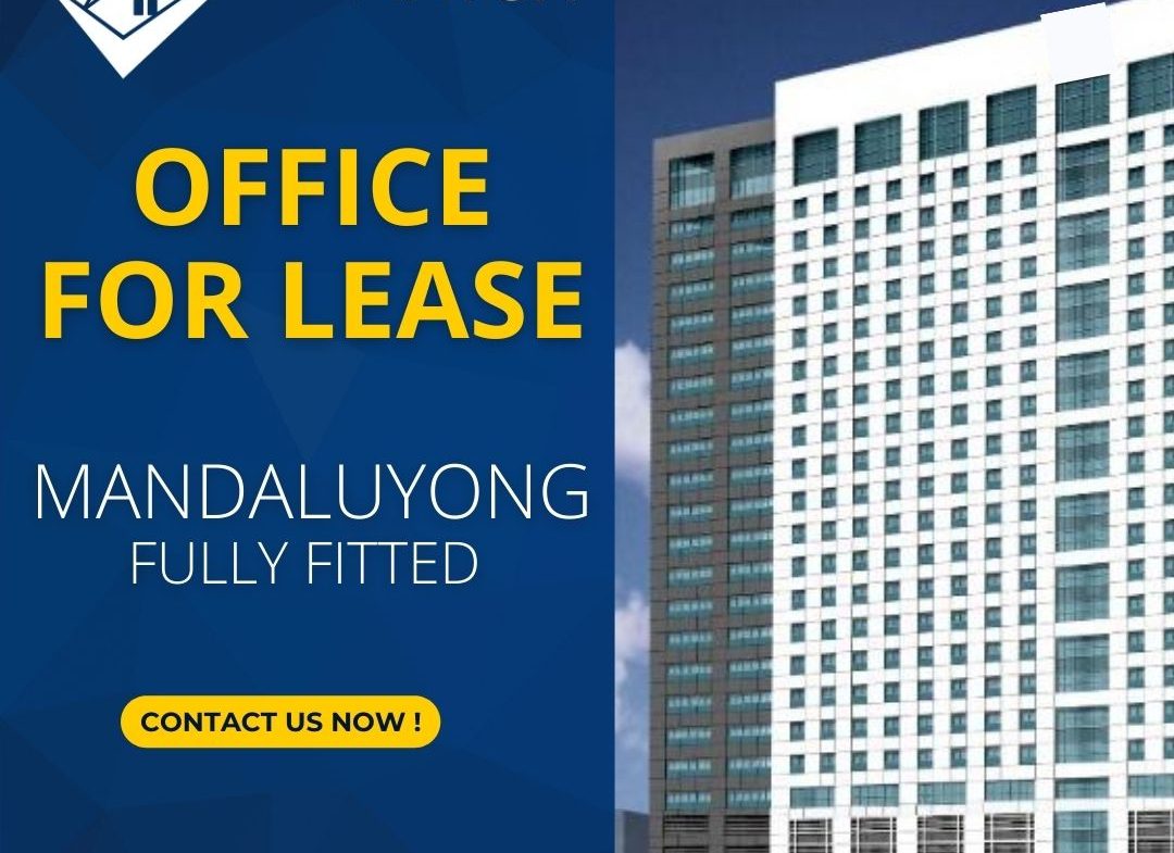Mandaluyong Office Space for Lease Robinsons Cyber Gate 3 Mandaluyong Pioneer 2