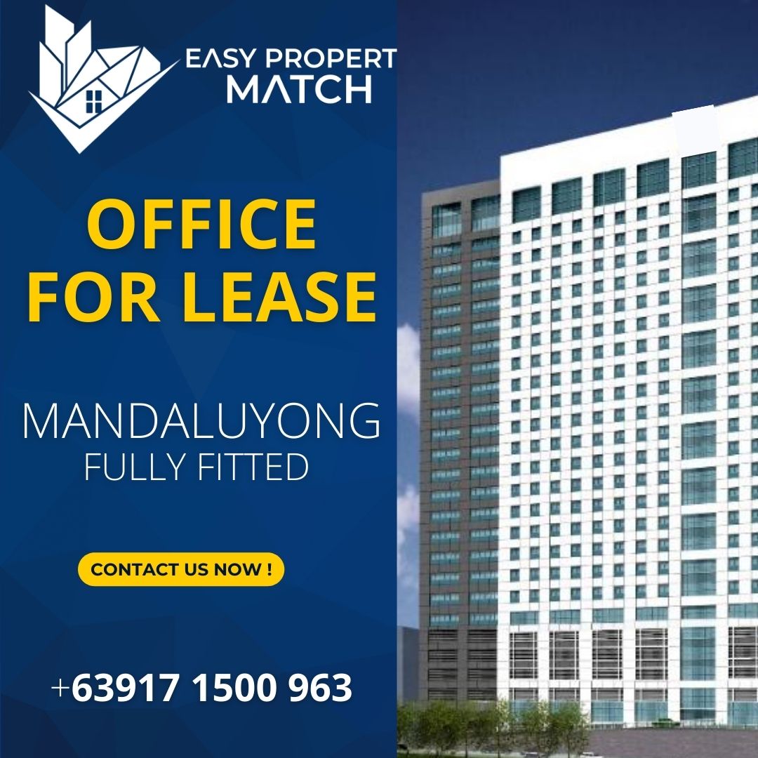 Mandaluyong Office Space for Lease Robinsons Cyber Gate 3 Mandaluyong Pioneer 2