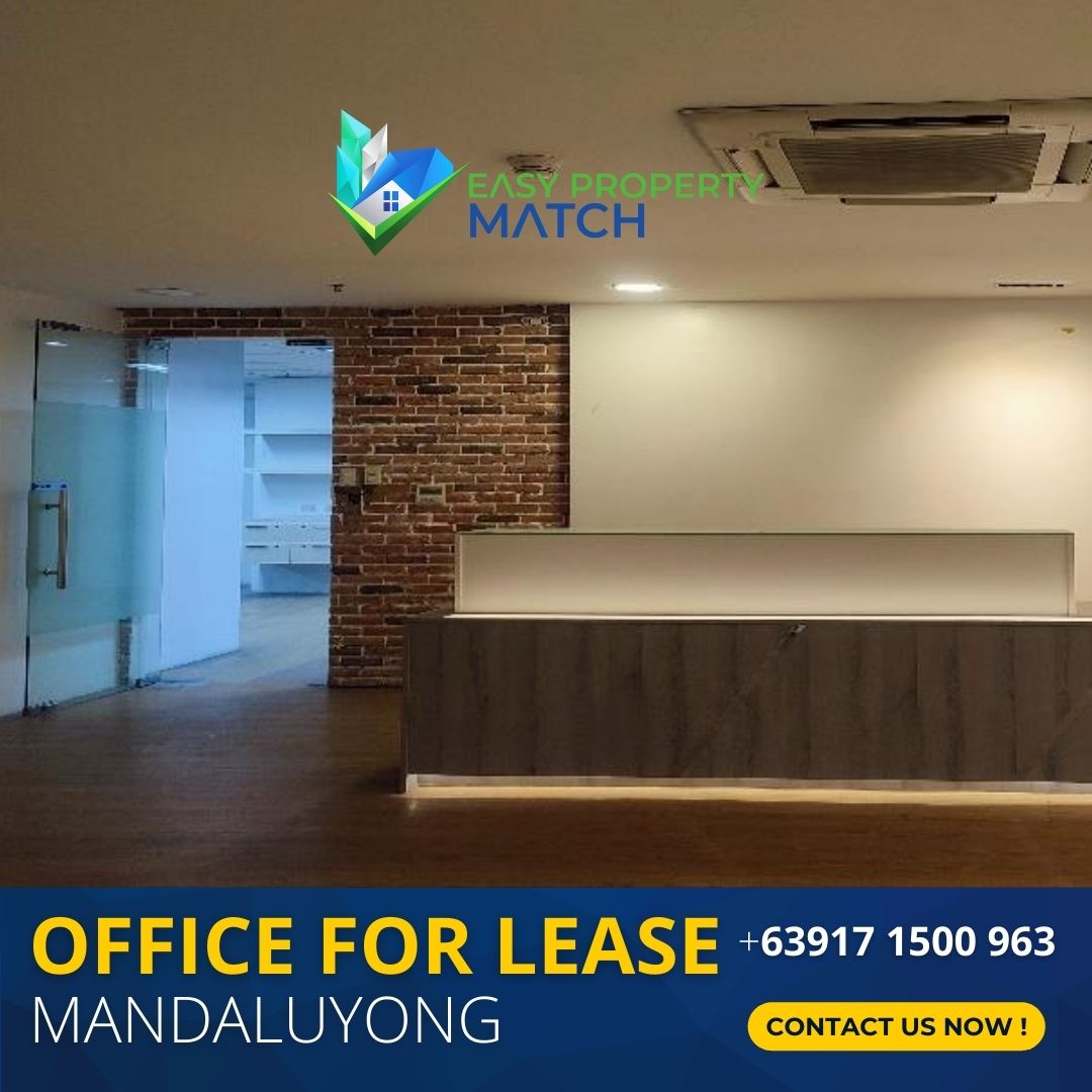 Mandaluyong Office Space for Lease Robinsons Cyber Gate 3 Mandaluyong Pioneer 3