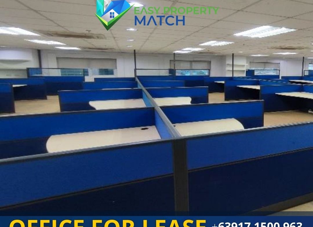 Mandaluyong Office Space for Lease Robinsons Cyber Gate 3 Mandaluyong Pioneer 4