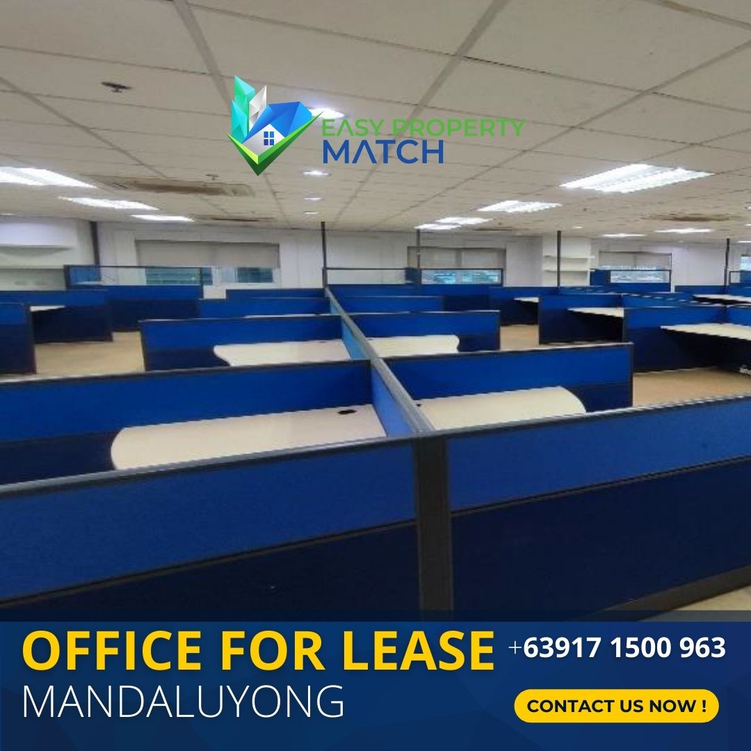 Mandaluyong Office Space for Lease Robinsons Cyber Gate 3 Mandaluyong Pioneer 4