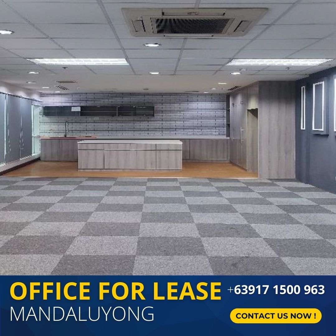 Mandaluyong Office Space for Lease Robinsons Cyber Gate 3 Mandaluyong Pioneer 5