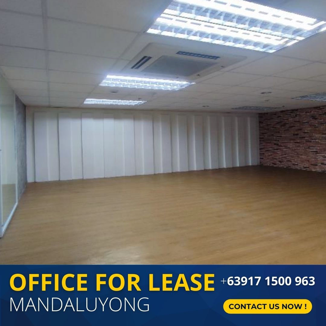 Mandaluyong Office Space for Lease Robinsons Cyber Gate 3 Mandaluyong Pioneer 6