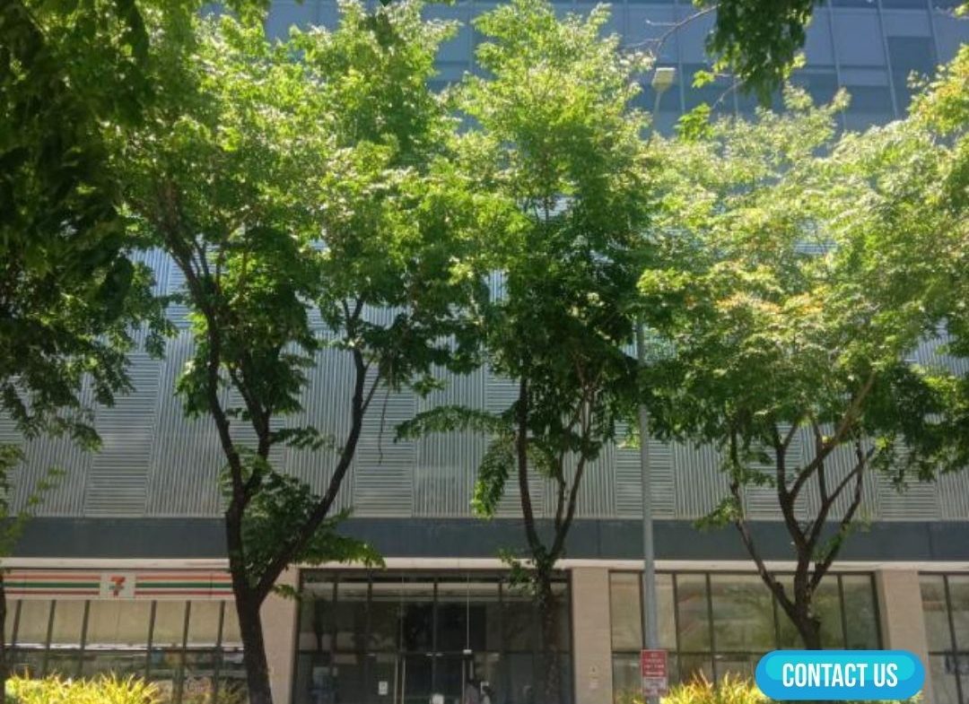Ground floor Commercial for Rent Alabang Northgate Southkey hub (4)
