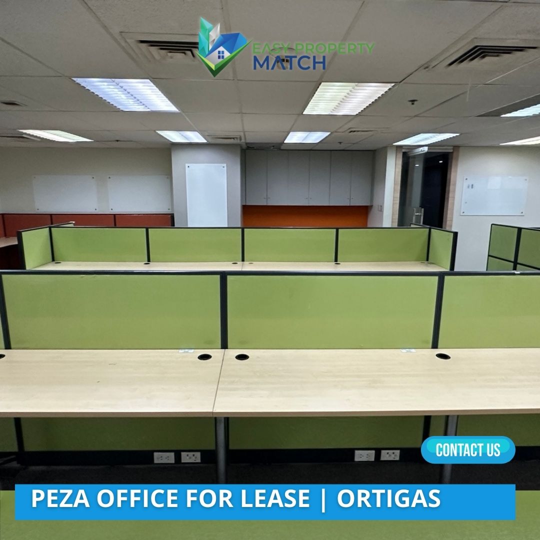 PEZA Office for Rent Orient square Ortigas (3)