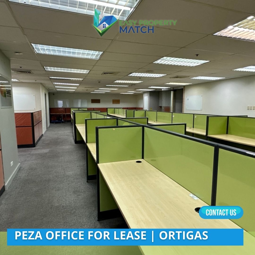 PEZA Office for Rent Orient square Ortigas (4)