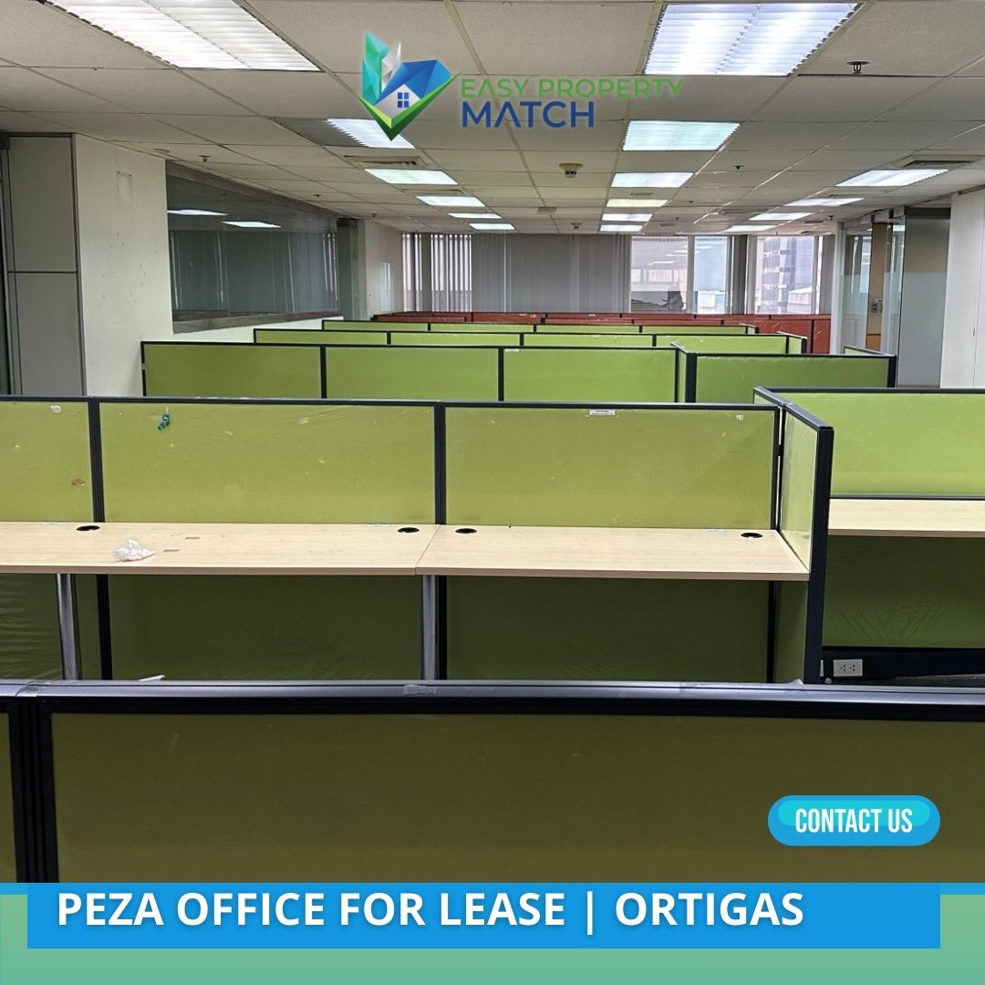 PEZA Office for Rent Orient square Ortigas (5)