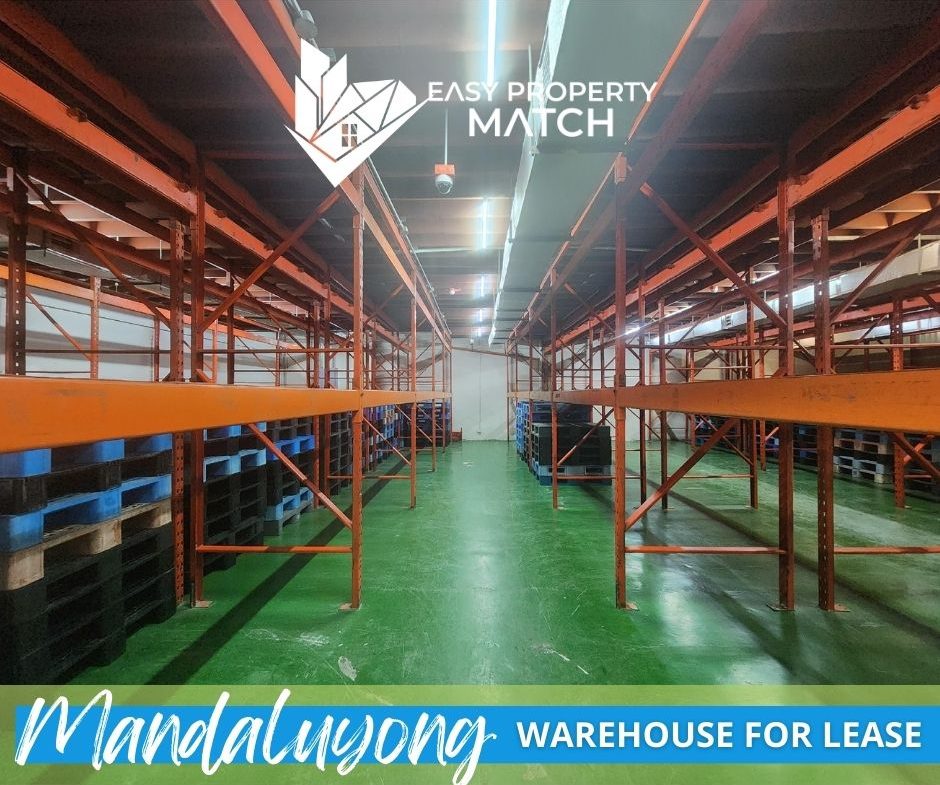 Mandaluyong Warehouse for Rent Lease near Edsa Pines Sheridan (3)