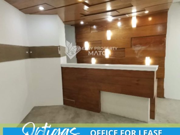 Class A PEZA Office for Rent in Ortigas (4)