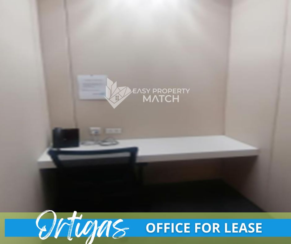 Move in Ready Fully Furnished Office for Rent Ortigas 300 sqm (5)