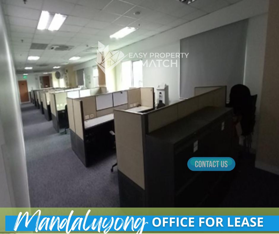 Furnished Plug and Play Move in Ready Office for Rent Mandaluyong (4)