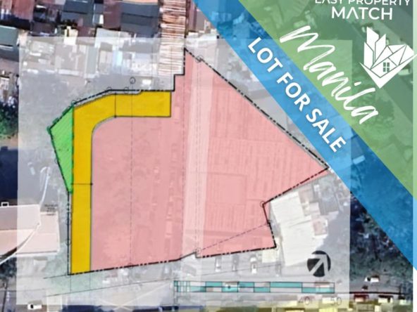 Commercial Lot for Sale Otis Manila near Malacañang