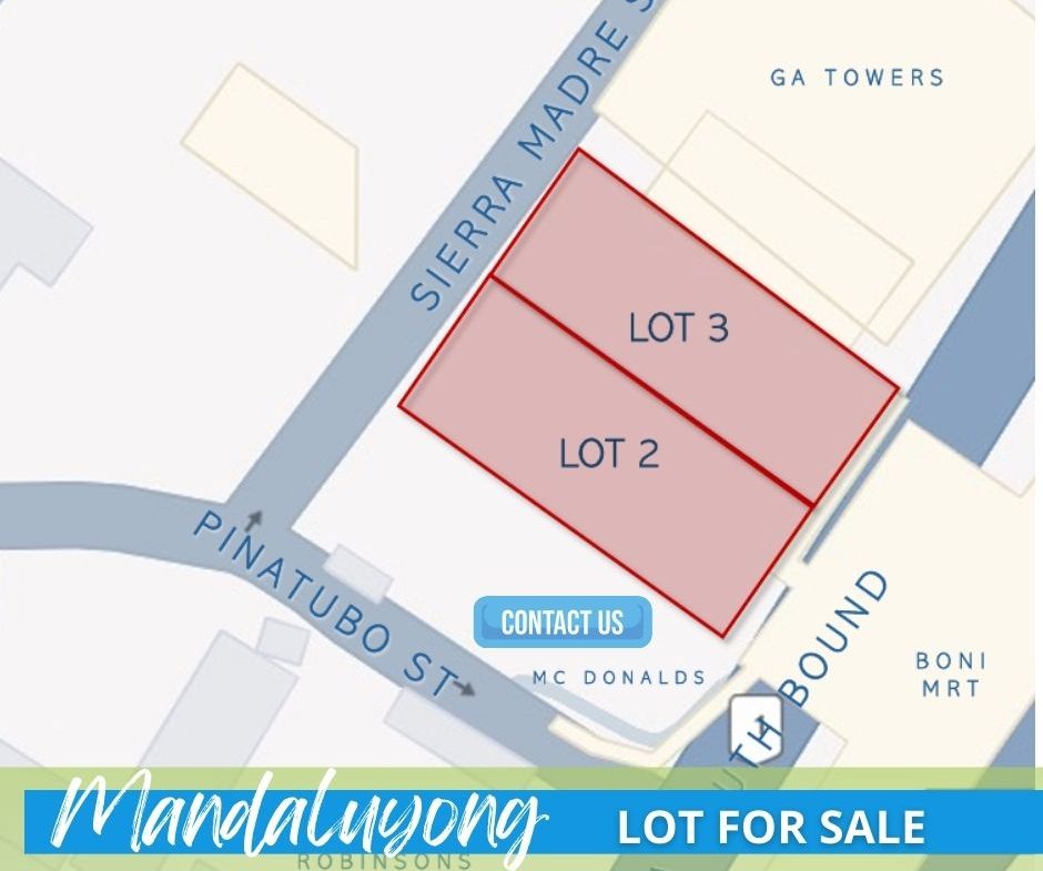 Lot For Sale in EDSA Mandaluyong City near MRT Boni Station (2)