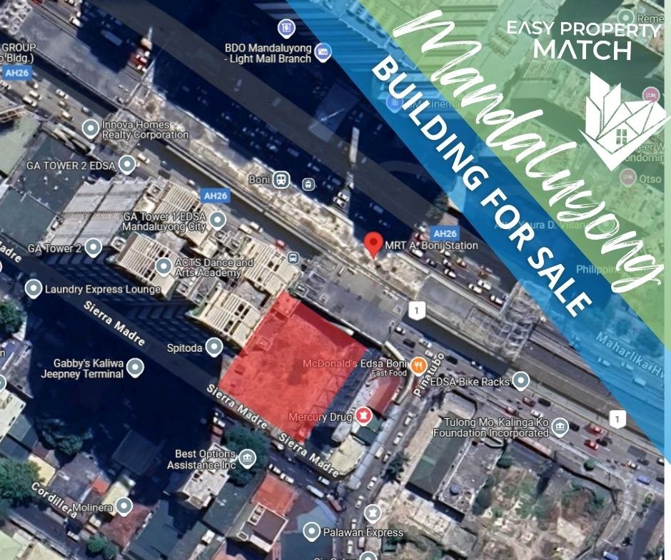 Lot For Sale in EDSA Mandaluyong City near MRT Boni Station (3)