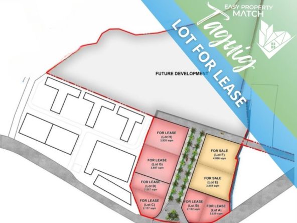 Lot for Rent Taguig Metro Manila (1)