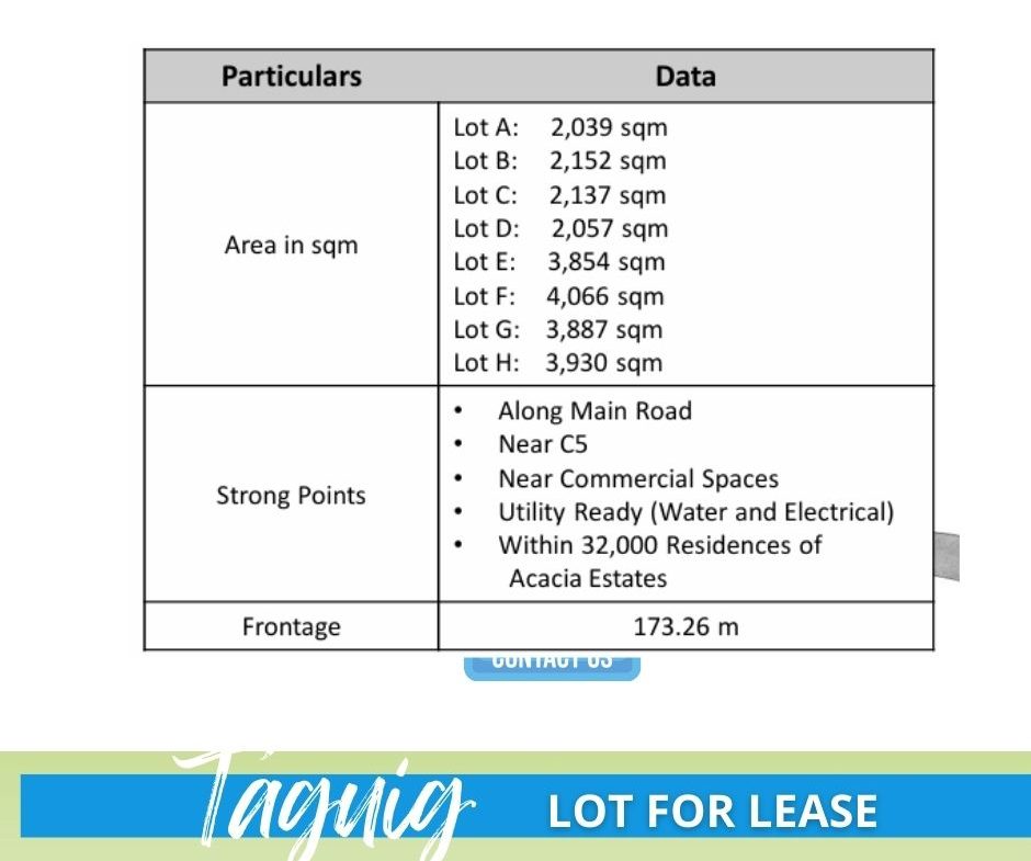 Lot for Rent Taguig Metro Manila (3)