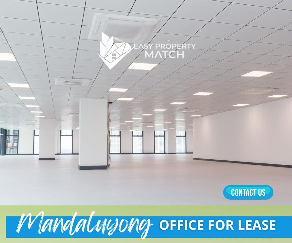 Office for Rent EDSA Mandaluyong (2)