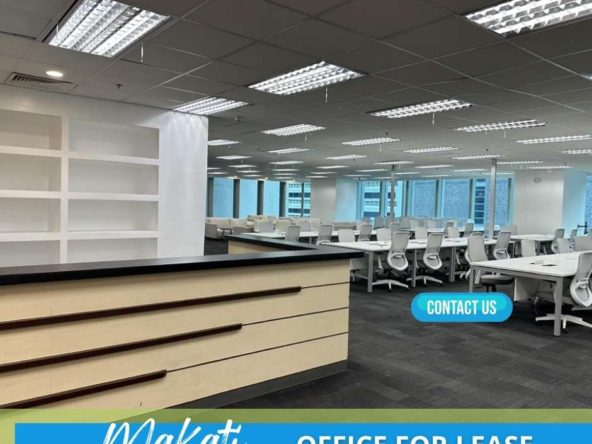 Fully Furnished Grade A PEZA Office for rent in Ayala Ave Makati (2)