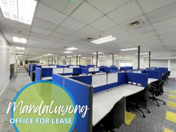 Fully Furnished Plug and Play BPO Office for Rent in EDSA Pioneer Mandaluyong Robinsons Cyber Gate Center (6)
