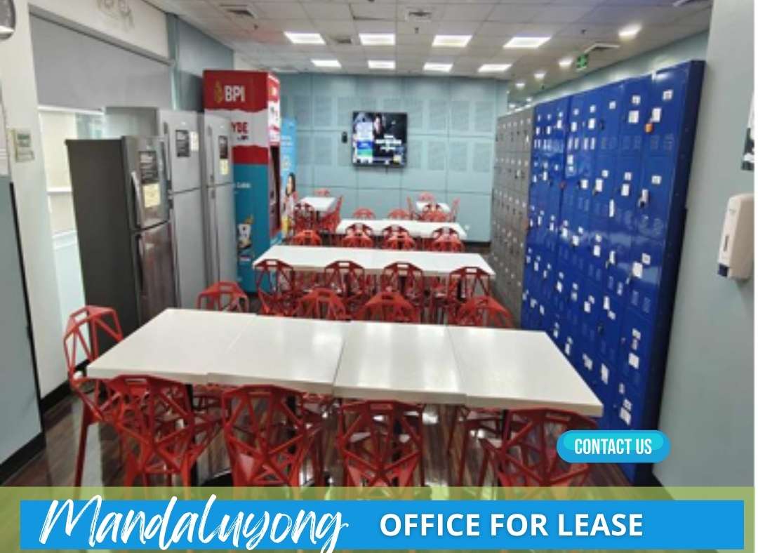 Fully Furnished Office for Rent Robinsons Cybergate 3 Mandaluyong (3)