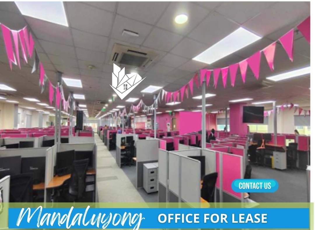 Fully Furnished Office for Rent Robinsons Cybergate 3 Mandaluyong (4)