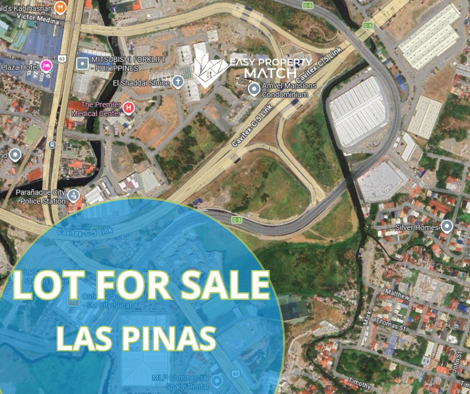 Commercial Lot for Sale Las Pinas near Cavitex C5 Link