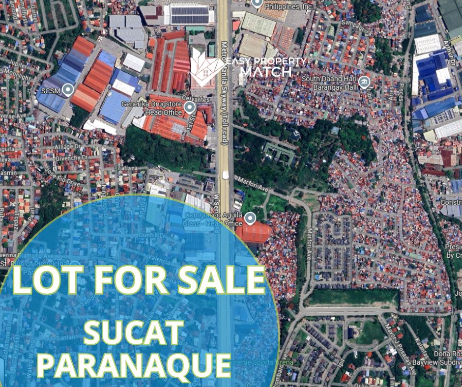 Commercial Lot for Sale Sucat Paranaque (1)
