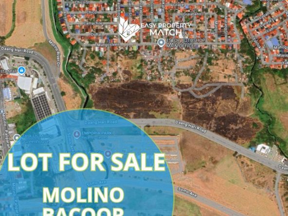 Commercial Lots for Sale Molino Bacoor Near SOMO Emporia (1)