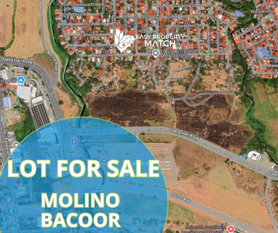 Commercial Lots for Sale Molino Bacoor Near SOMO Emporia (1)