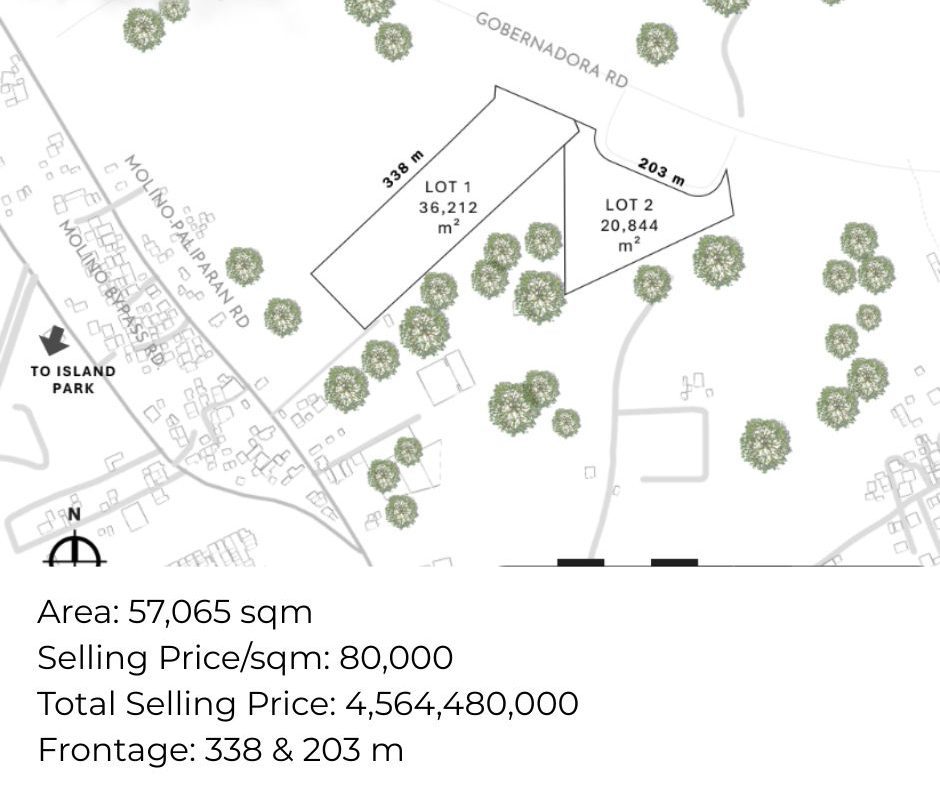 Lot for Sale Dasmariñas Molino Paliparan Road (1)