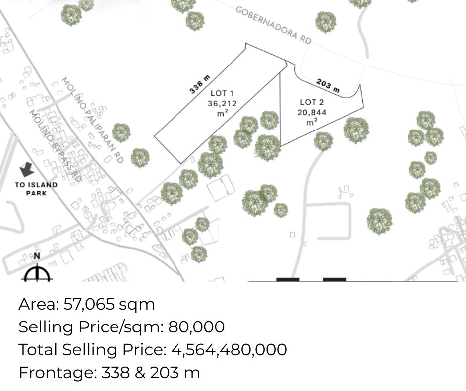 Lot for Sale Dasmariñas Molino Paliparan Road (1)
