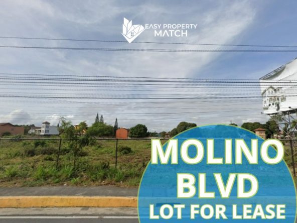 Lot for Sale Molino Bacoor Cavite (2)