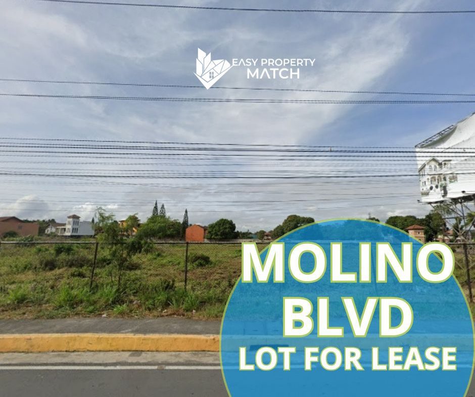 Lot for Sale Molino Bacoor Cavite (2)