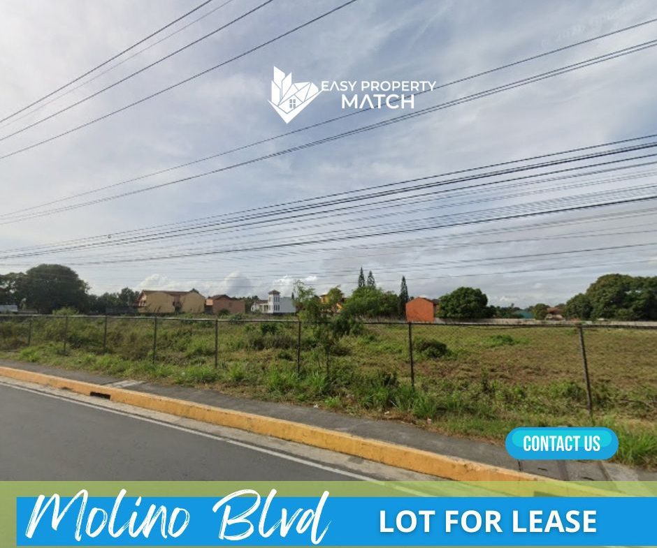Lot for Sale Molino Bacoor Cavite (3)