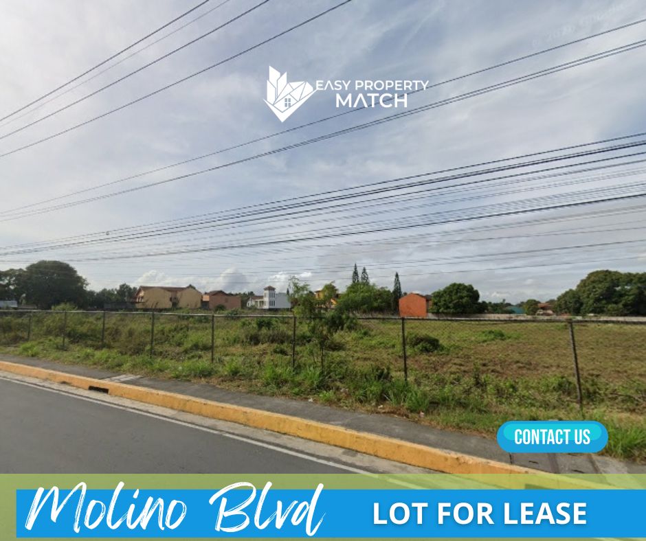 Lot for Sale Molino Bacoor Cavite (3)