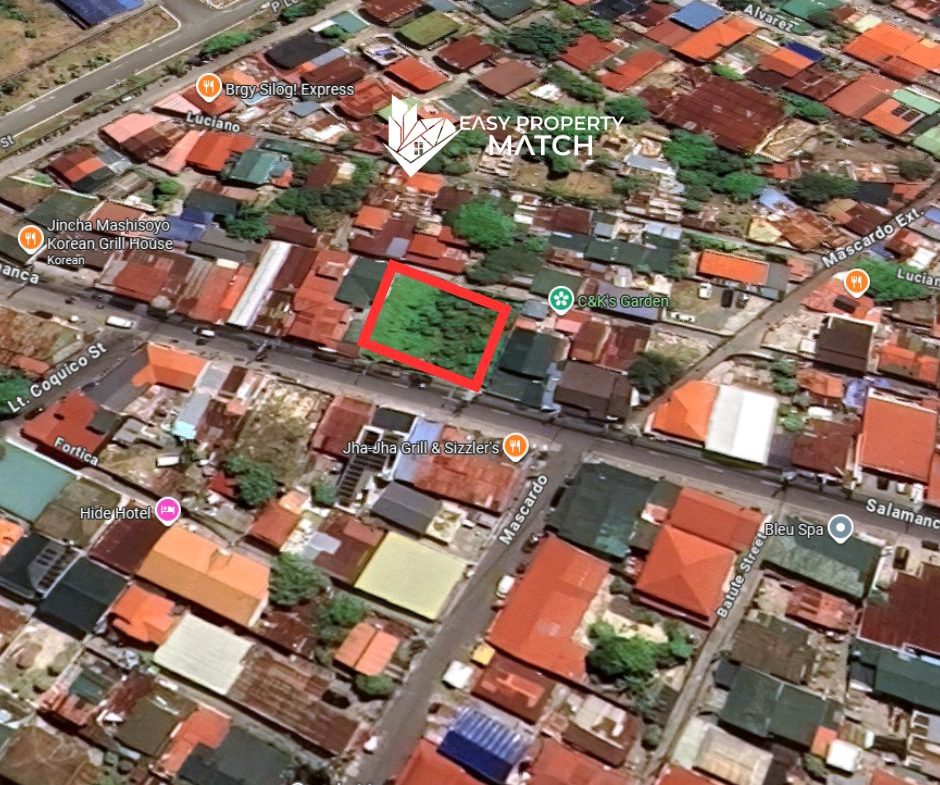 Commercial Lot for Sale Cavite City near Sangley Airport (2)